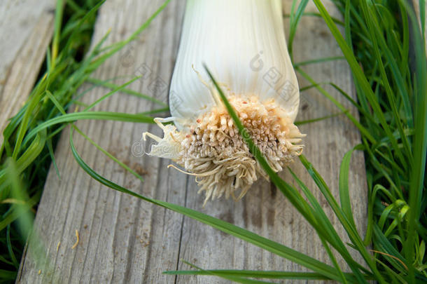 木制<strong>背景上新</strong>鲜韭菜的细节