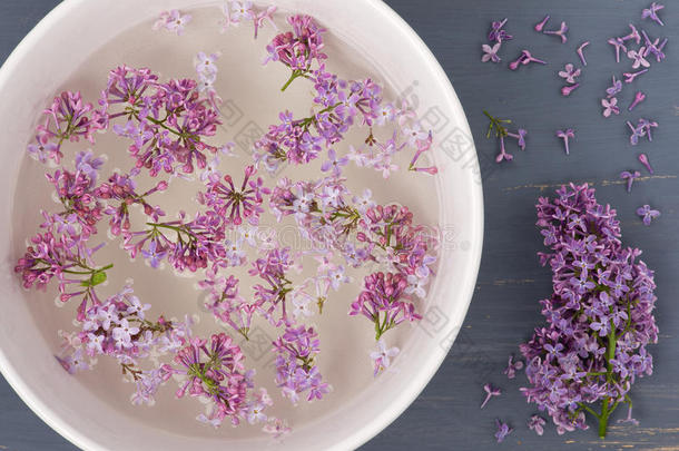新鲜的丁香花花瓣漂浮在水中，在白色陶瓷碗中，蓝色的背景上。