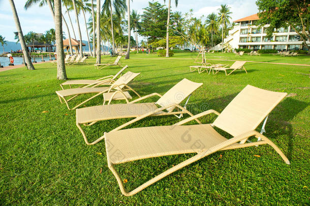 棕榈树下的海滩椅子观看日落