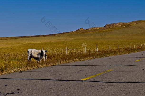 草原上无尽的道路