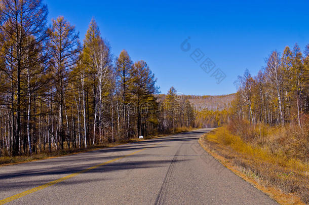 森林里无尽的道路