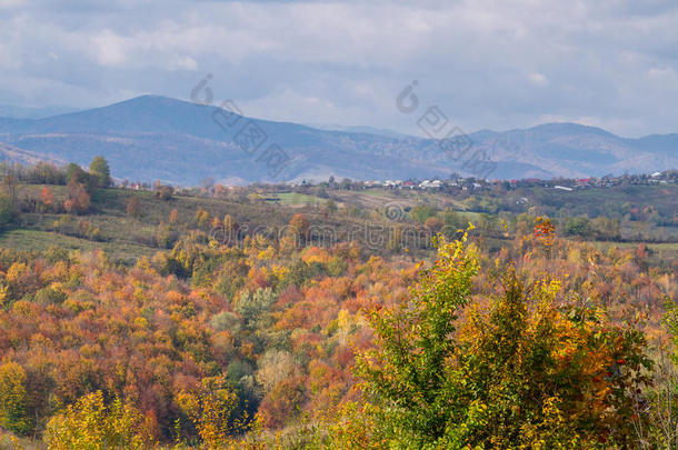 罗马尼亚秋季景观景观景观