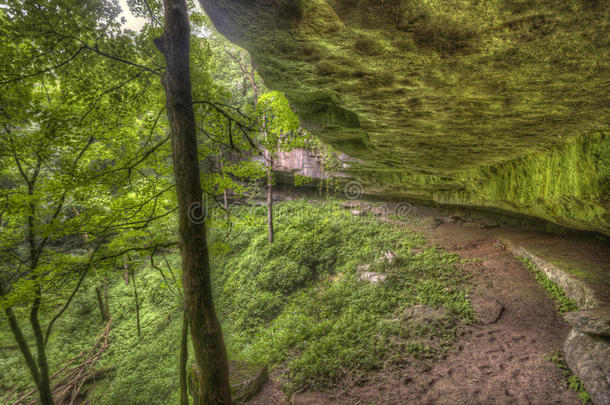 洞穴森林地质学绿色肯塔基州