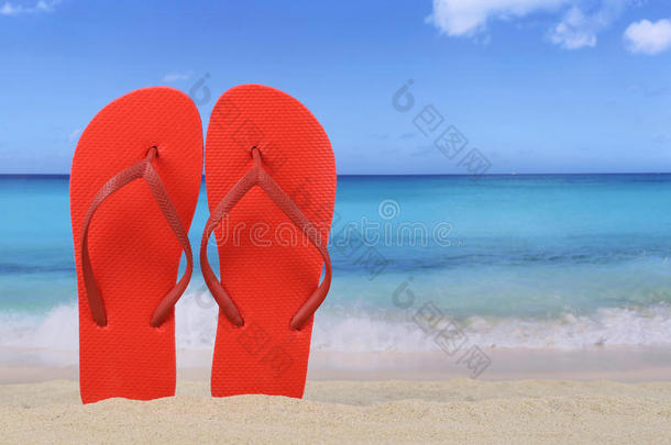 拖鞋凉鞋在夏天海滩和假期与合作空间