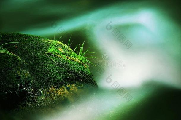 巨大的废弃巨石被新鲜的<strong>绿色</strong>苔藓覆盖在山河泡沫般的水中。 <strong>光线</strong>模糊的冷水反射