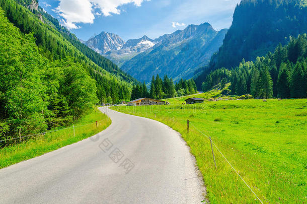 阿尔卑斯山风景区，道路和草地，阿尔卑斯山，奥地利