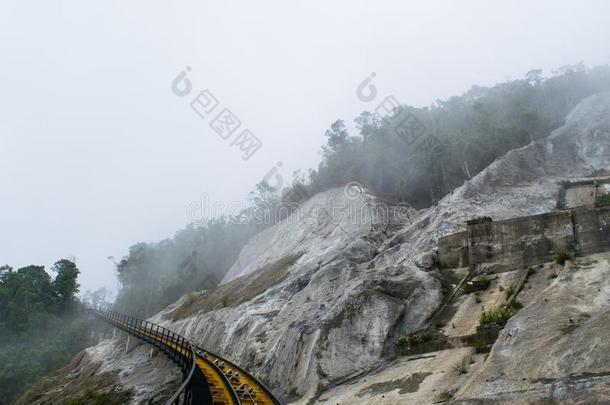 背景颜色文化梯队森林