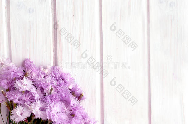 白色木制背景上的一束矢车菊