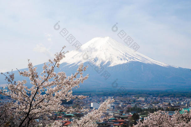 富士山。 还有樱花