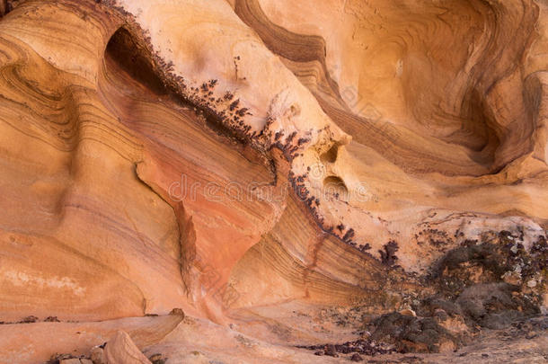 美国沙漠风景山自然