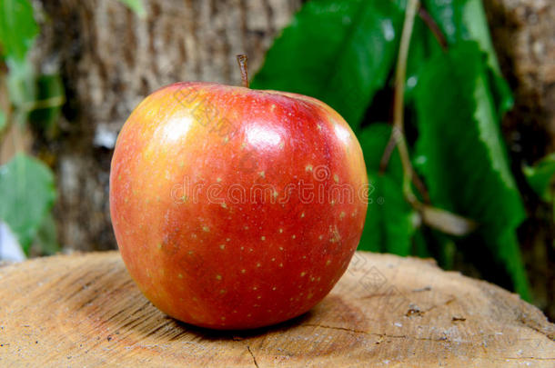 一块木头上的苹果