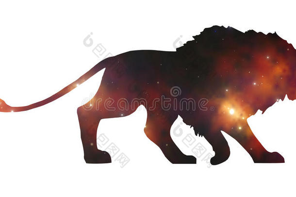 非洲动物宇宙的宇宙银河系