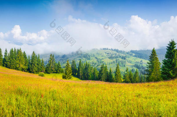 雾蒙蒙的山村五彩<strong>缤纷</strong>的夏<strong>季</strong>全景。