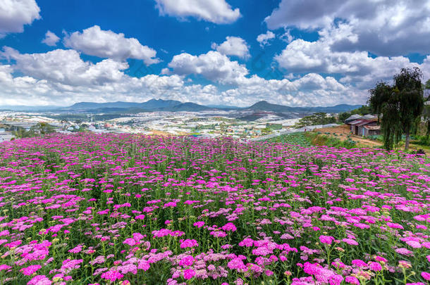 达拉特高原上的花园