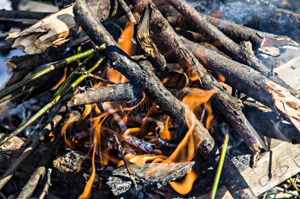 森林里的<strong>一团火</strong>，燃烧着木头和树枝