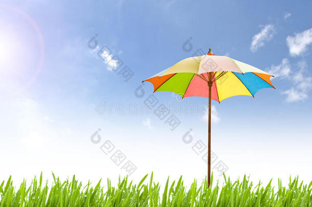 大自然背景上的彩色<strong>雨</strong>伞