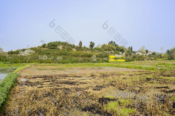 阳光明媚的春天，山坡村前的排<strong>水土</strong>地