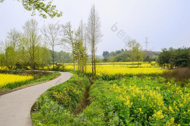 田园风格成都瓷器科尔乡间公路