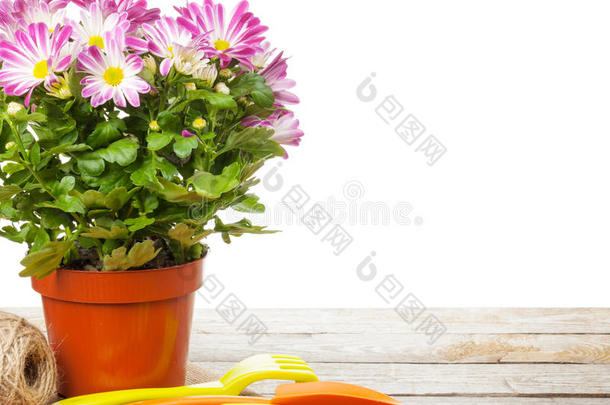 盆栽花卉和园艺工具