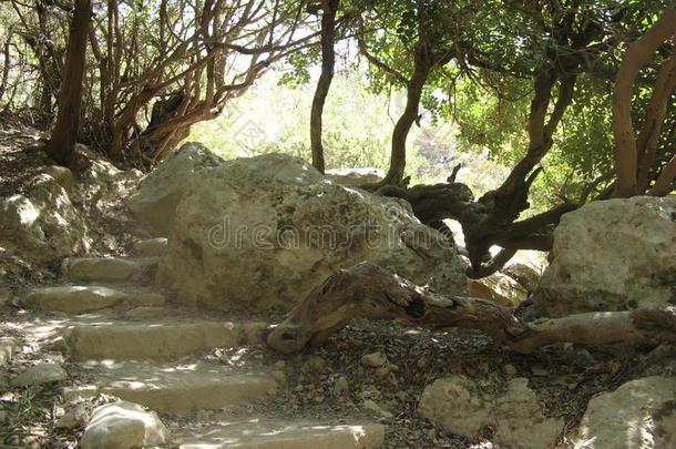 塞浦路斯山区的古楼梯