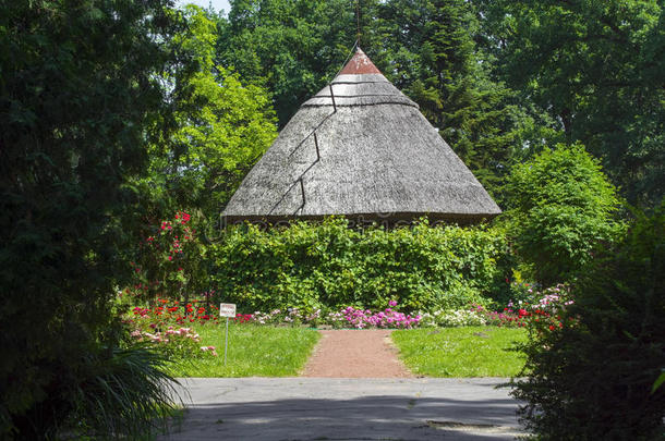 植物园植物学的小屋花园匈牙利语
