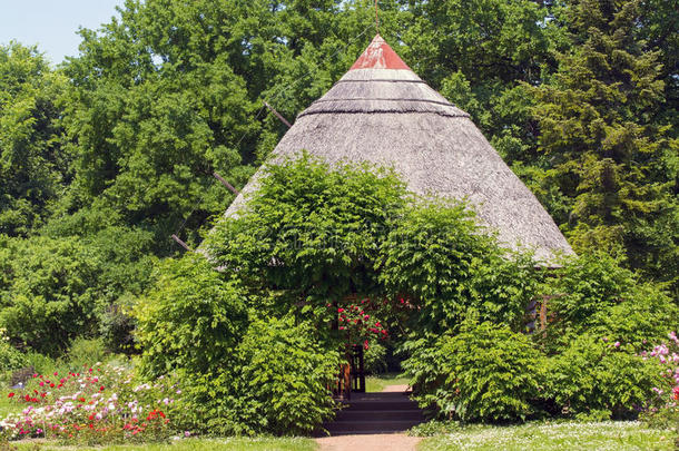 植物园植物学的小屋房地产常绿的