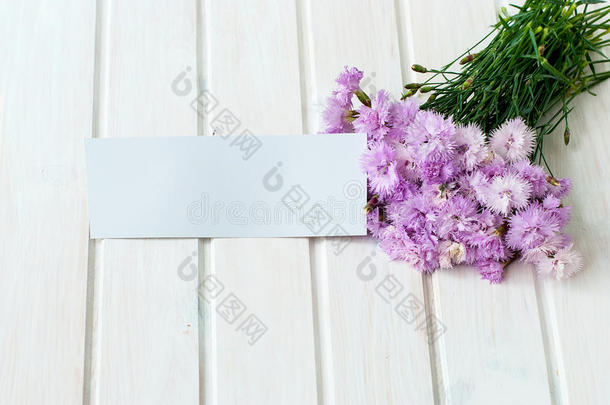 白色木制背景上的一束矢车菊