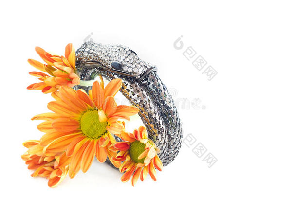 手镯银水晶蛇形设计，以鲜艳的白色花朵为背景