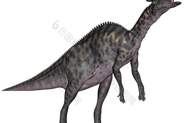 动物白垩纪恐龙灭绝的食草的