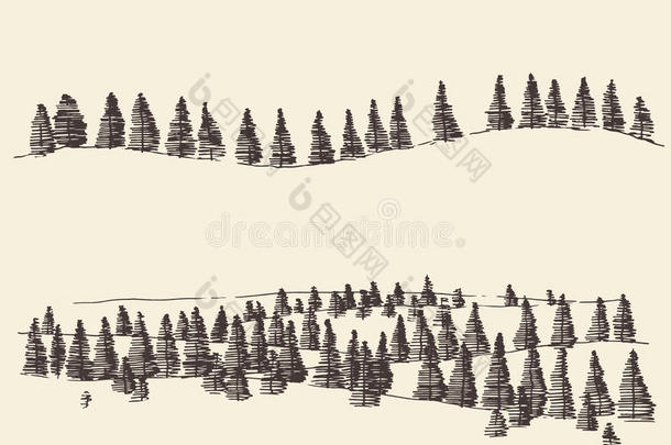 <strong>杉木</strong>森林轮廓雕刻在山上
