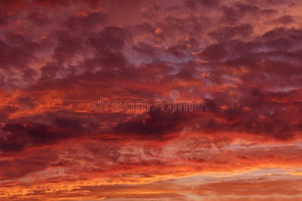 在黄昏的黄昏，火红的橙色天空，橙色的日落，五颜六色的日落，黄昏黄昏的艺术照片