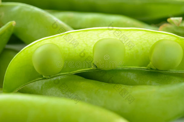 新鲜甜绿豌豆种子在开放的荚