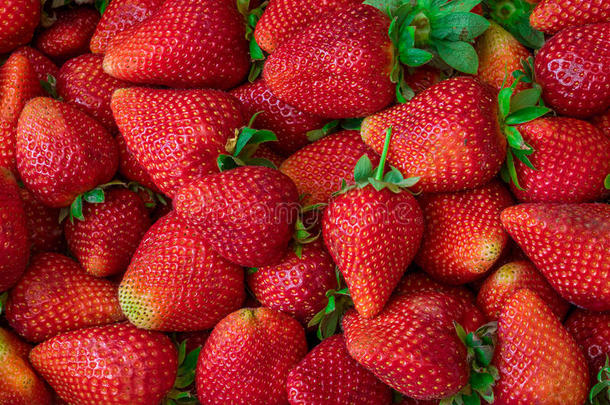 新鲜草莓背景。 新鲜水果。