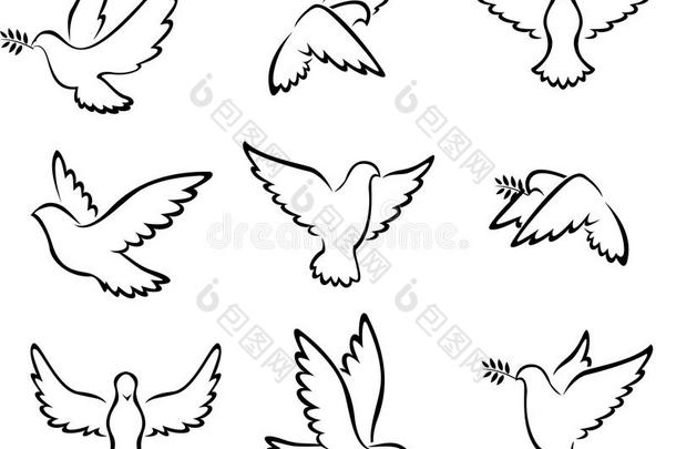 收集鸽子鸟标志的和平概念和婚礼设计
