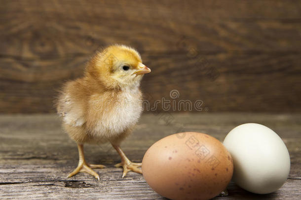 在乡村背景两个农场新鲜鸡蛋在乡村背景