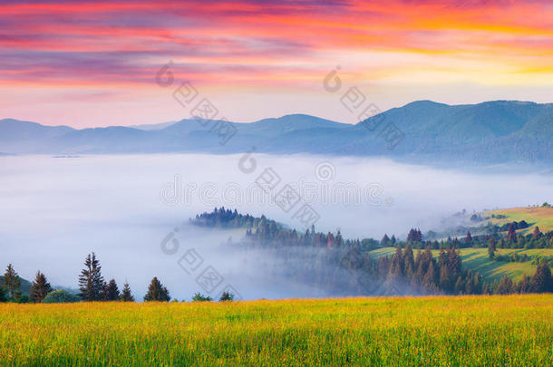 五彩缤纷的夏季日出在雾蒙蒙的喀尔巴阡山