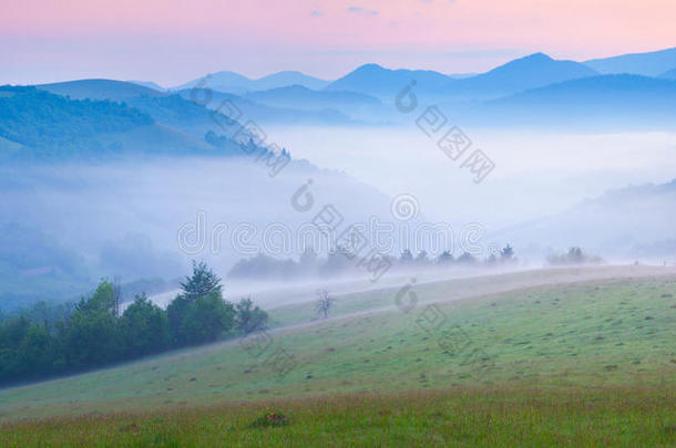清晨在雾蒙蒙的喀尔巴阡山脉。 博尔扎瓦岭，<strong>超越</strong>喀尔巴阡山脉，乌克兰，欧洲。