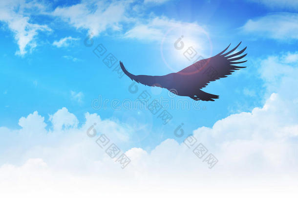 鹰击<strong>长空</strong>