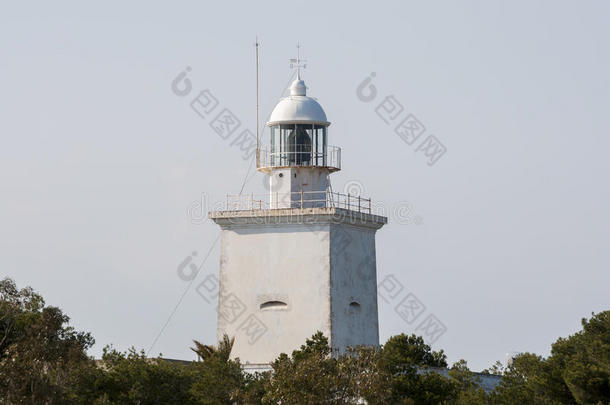 阿利坎特白鲸卡拉巴斯海岸沿海