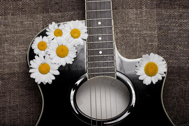 吉他和雏菊花