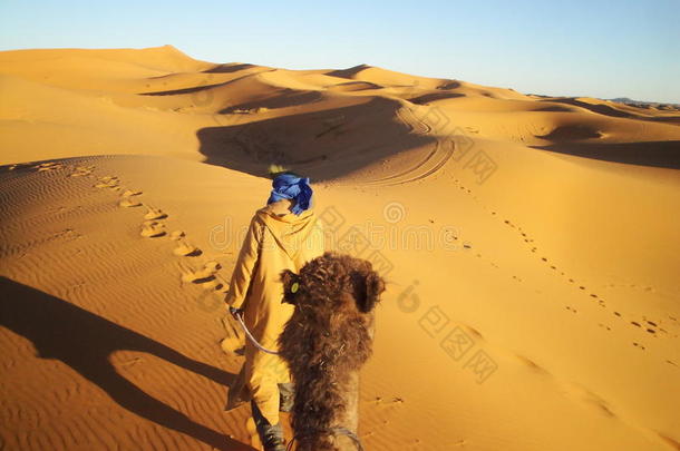 从<strong>骆驼</strong>的角度来看沙漠