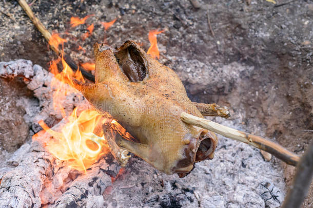 在篝火上煮一整只鸡