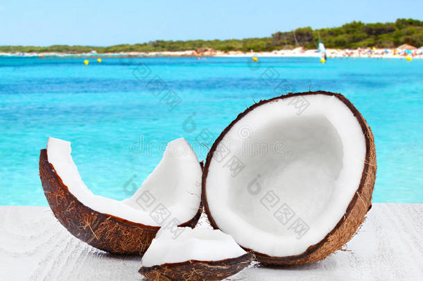椰子在海景背景