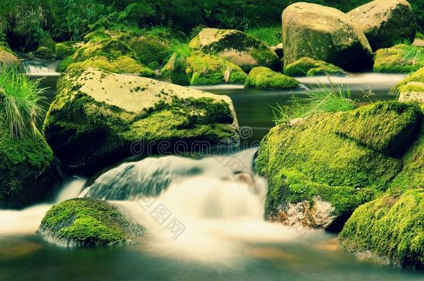 巨大的巨石被新鲜的<strong>绿色</strong>苔藓覆盖在山河泡沫般的水中。 <strong>光线</strong>模糊的冷水反射，白色