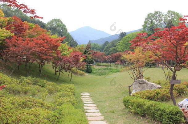 美丽的花花园假<strong>日韩</strong>国