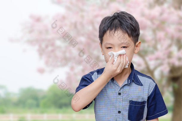 过敏原过敏的过敏亚洲的男孩