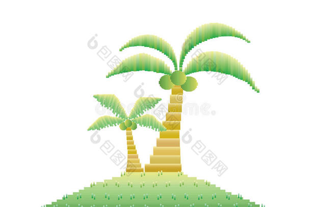 岛上的椰子树