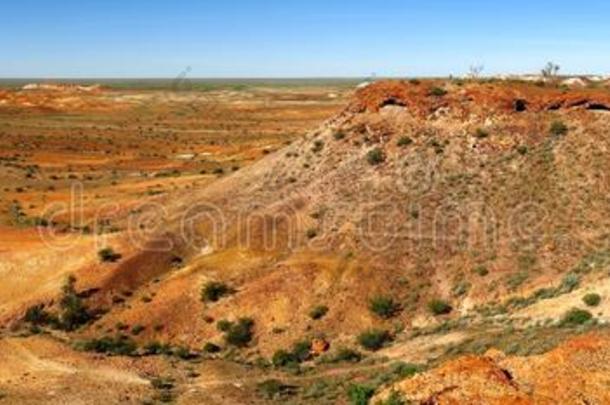 原住民令人大为惊奇的干旱的澳洲人澳大利亚