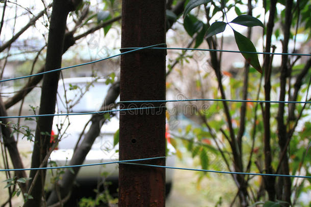 蓝色电缆和木杆<strong>简易</strong>围栏的细节