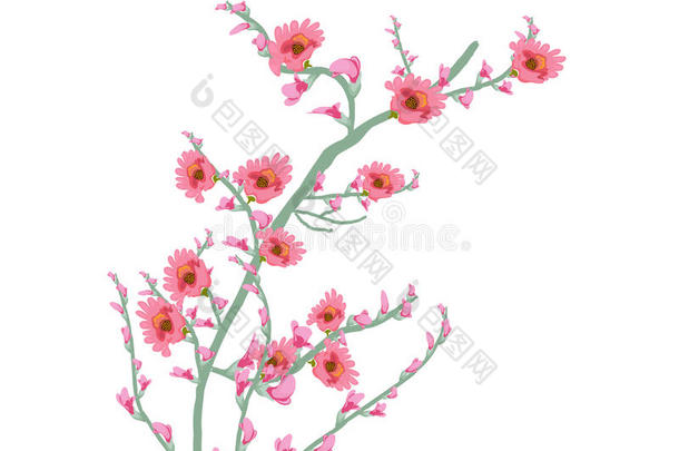 花卉艺术水彩画花卉粉红色